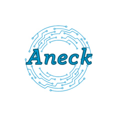 aneck solo 2 png
